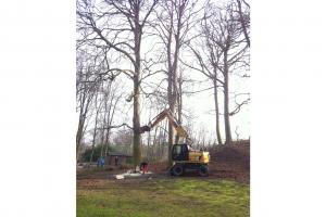 Landgoed Keukenhof: omzagen bomen